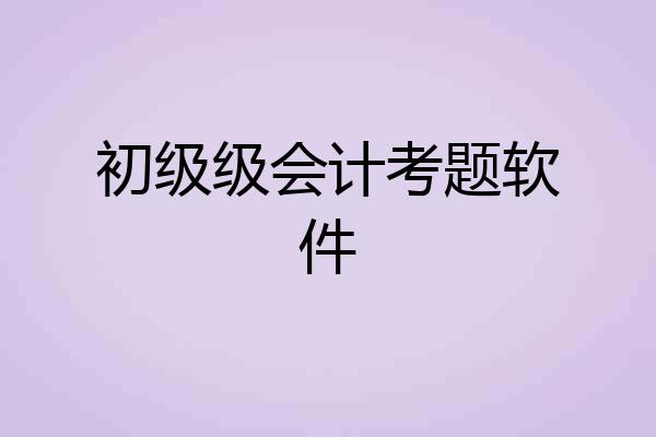 初级级会计考题软件
