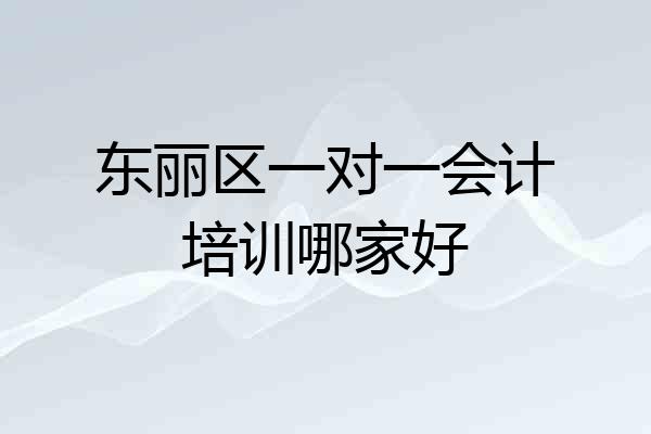 东丽区一对一会计培训哪家好
