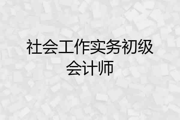 社会工作实务初级会计师