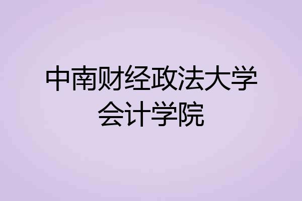 中南财经政法大学会计学院
