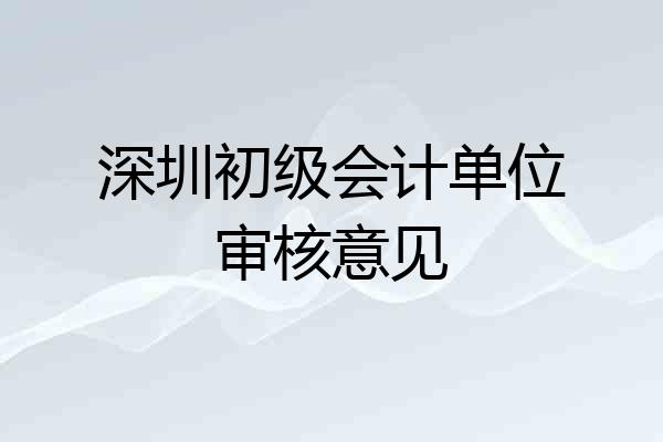 深圳初级会计单位审核意见