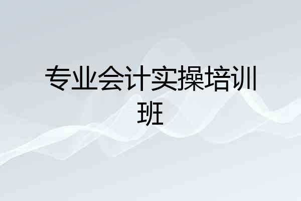 专业会计实操培训班