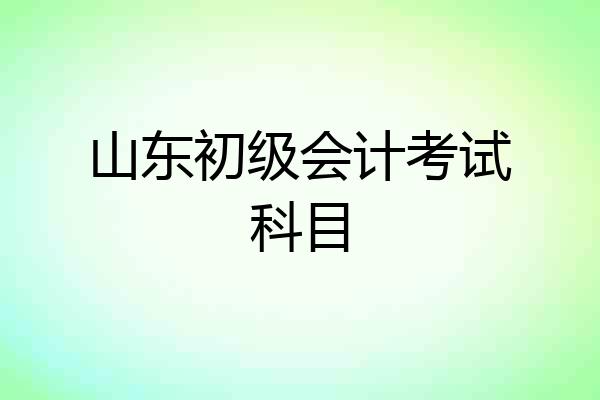 山东初级会计考试科目