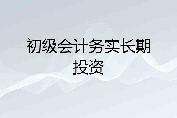 初级会计务实长期投资