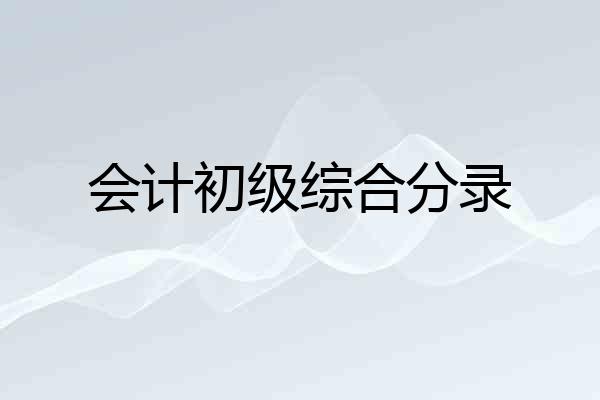 会计初级综合分录