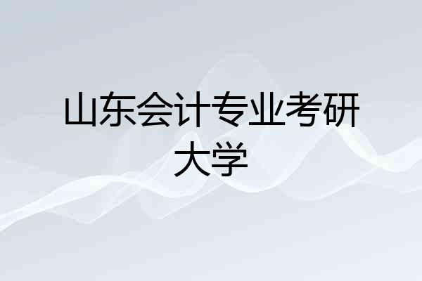 山东会计专业考研大学