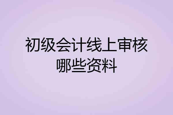 初级会计线上审核哪些资料