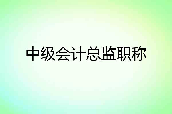 中级会计总监职称