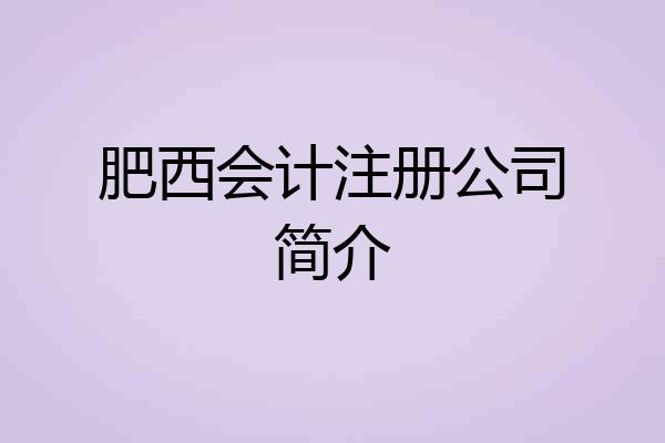 肥西会计注册公司简介