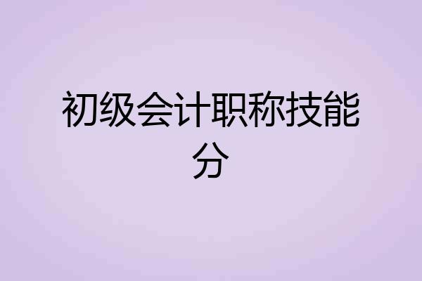 初级会计职称技能分