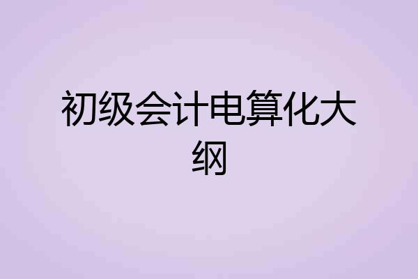 初级会计电算化大纲