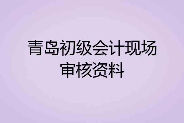 青岛初级会计现场审核资料