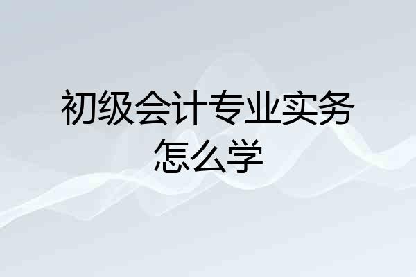 初级会计专业实务怎么学