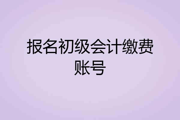 报名初级会计缴费账号