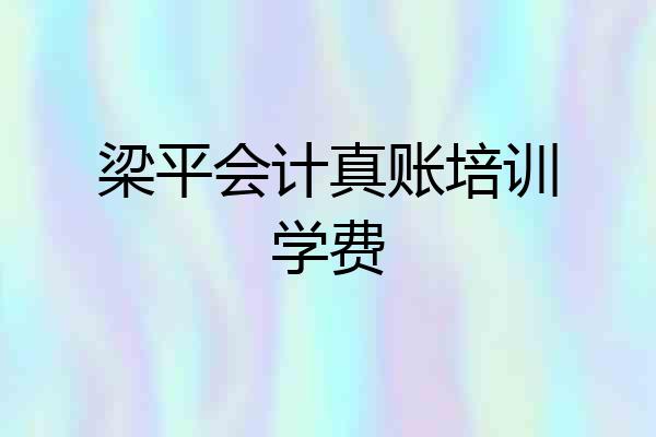 梁平会计真账培训学费