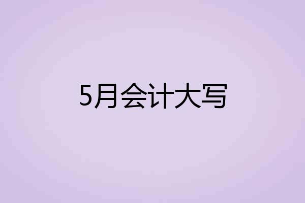 5月会计大写