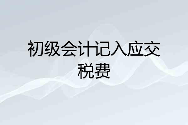 初级会计记入应交税费