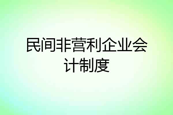 民间非营利企业会计制度