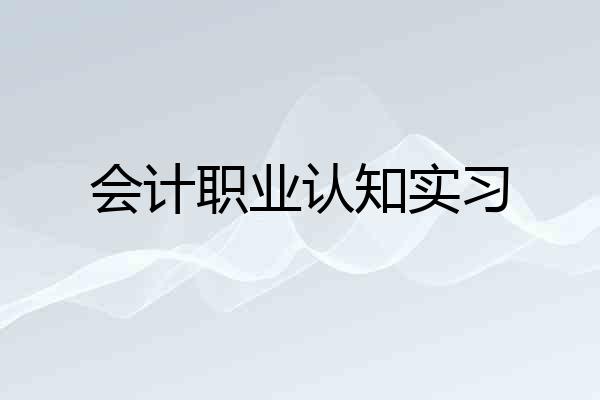 会计职业认知实习