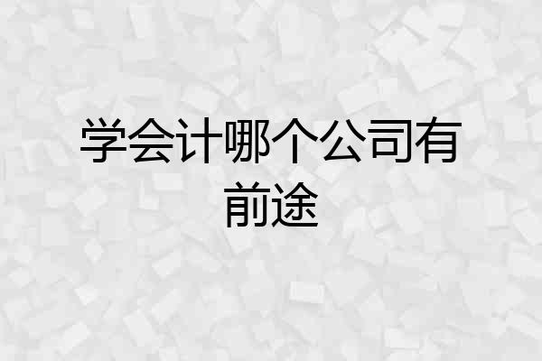 学会计哪个公司有前途