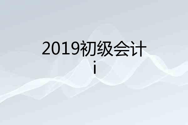 2019初级会计i