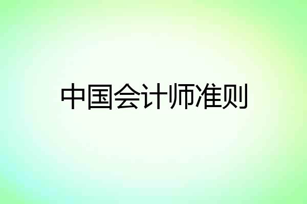 中国会计师准则