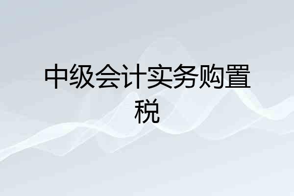 中级会计实务购置税