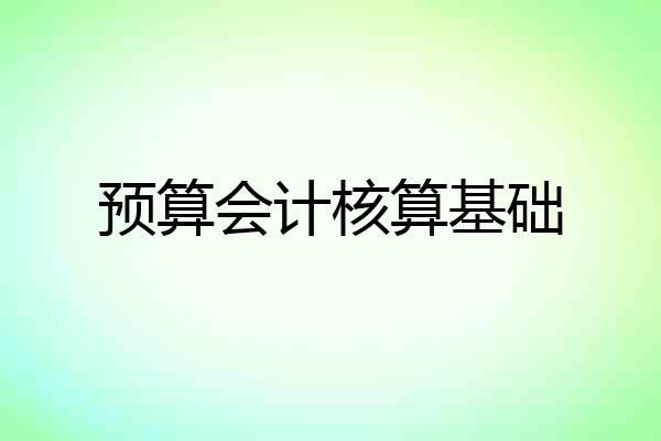 预算会计核算基础