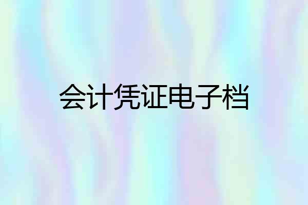 会计凭证电子档