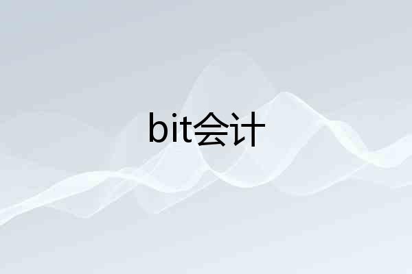 bit会计