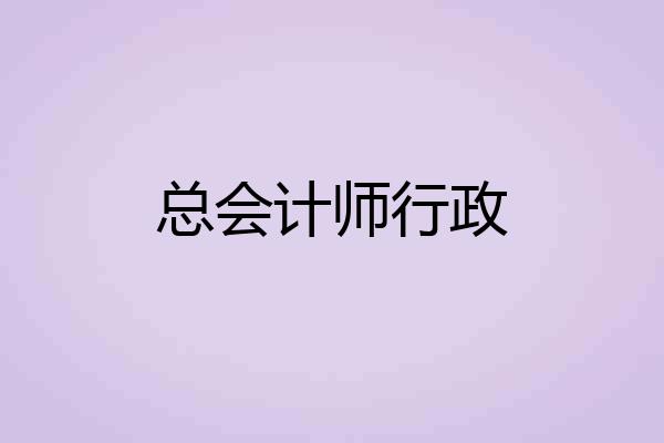 总会计师行政