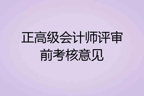 正高级会计师评审前考核意见