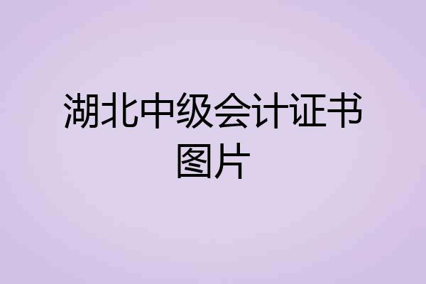 湖北中级会计证书图片