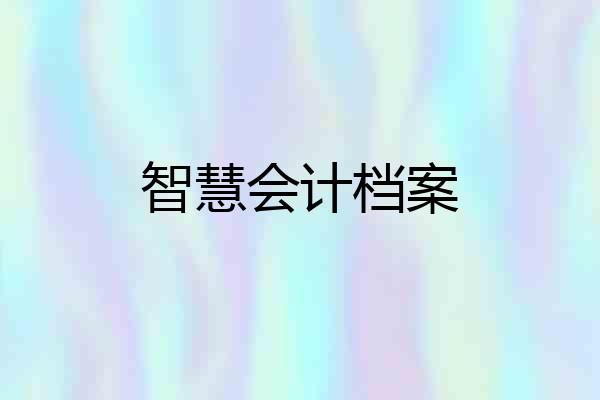 智慧会计档案