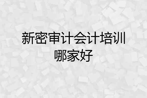 新密审计会计培训哪家好