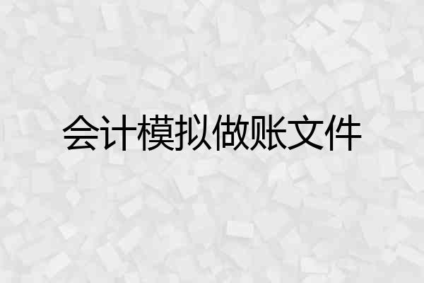 会计模拟做账文件