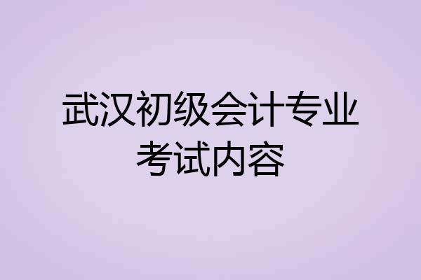 武汉初级会计专业考试内容