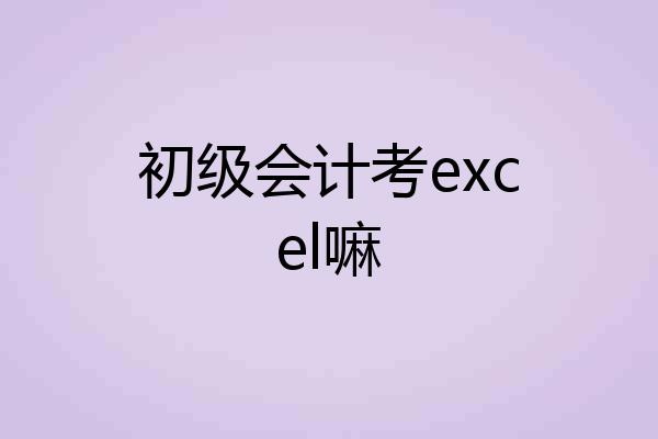 初级会计考excel嘛