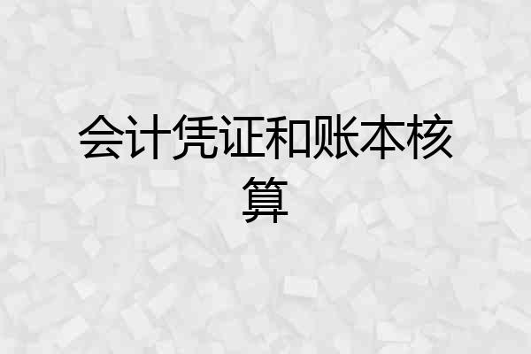 会计凭证和账本核算