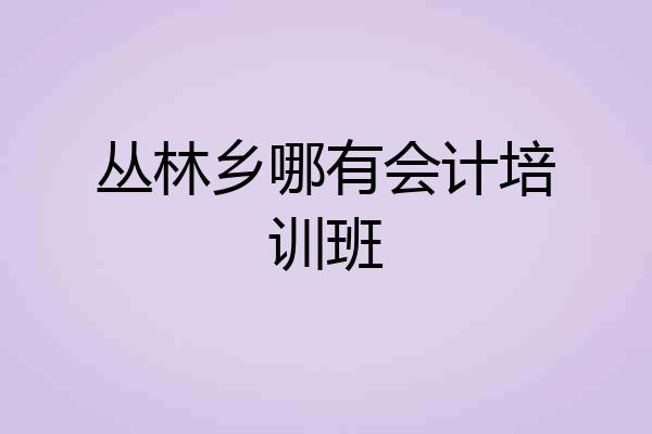 丛林乡哪有会计培训班