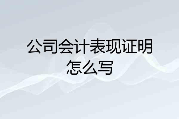 公司会计表现证明怎么写