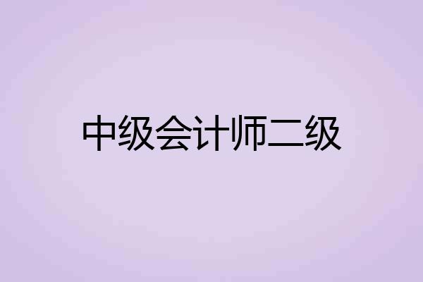 中级会计师二级