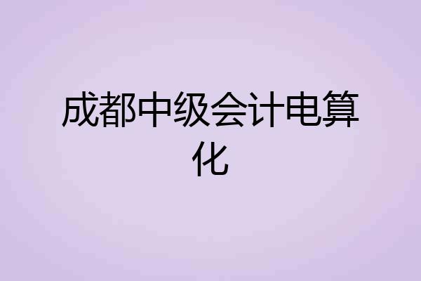 成都中级会计电算化