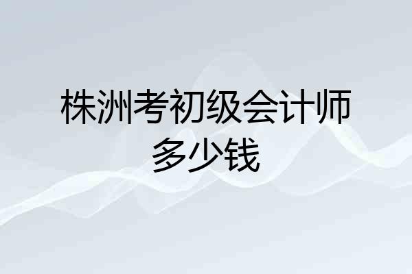 株洲考初级会计师多少钱