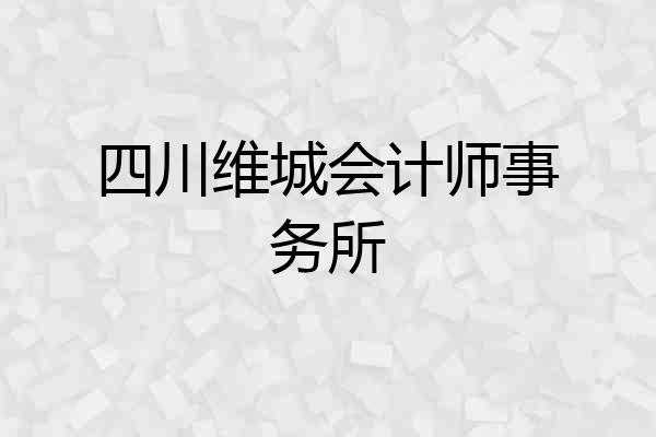 四川维城会计师事务所