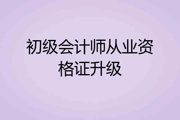 初级会计师从业资格证升级