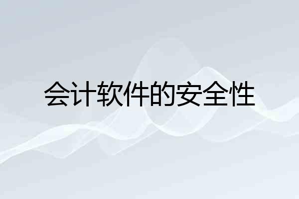 会计软件的安全性