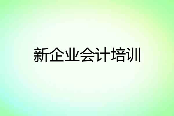 新企业会计培训