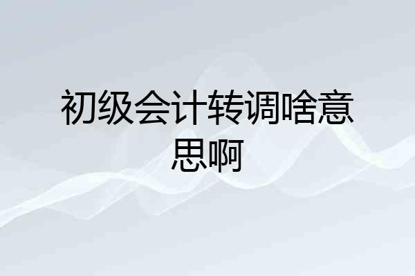 初级会计转调啥意思啊