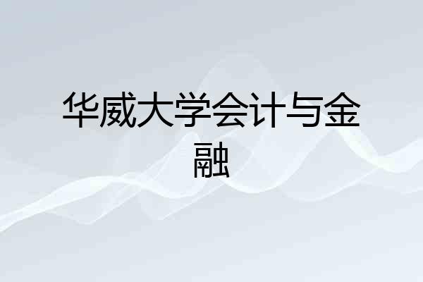 华威大学会计与金融